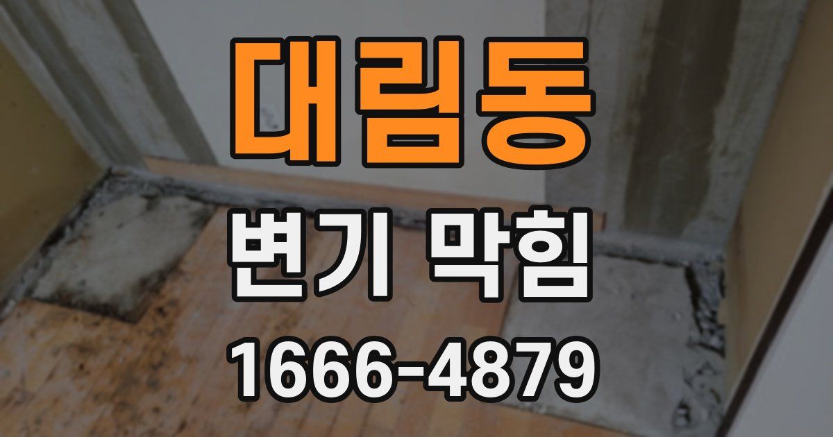 대림동 변기 막힘