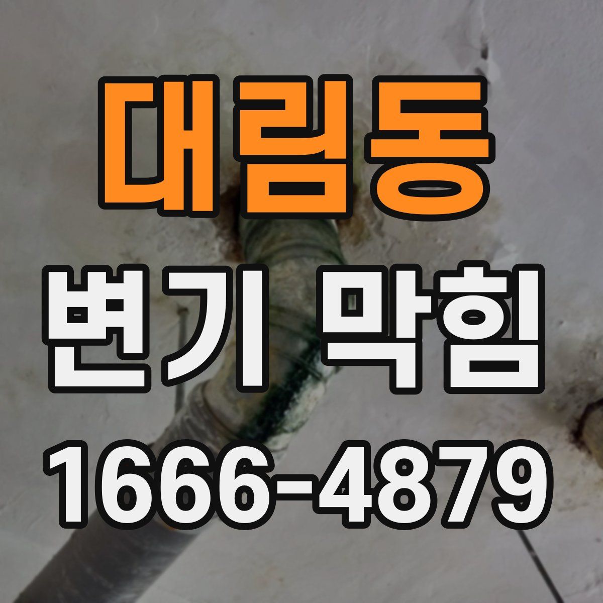 대림동 변기 막힘