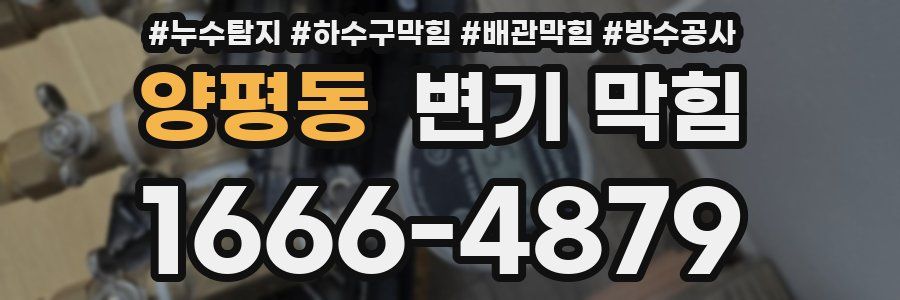 양평동 변기 막힘