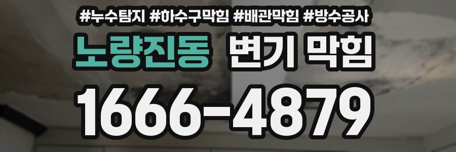 노량진동 변기 막힘