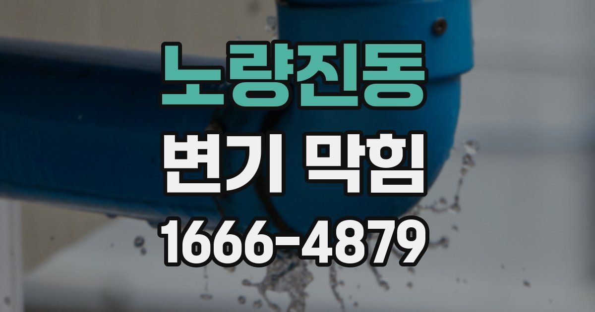 노량진동 변기 막힘