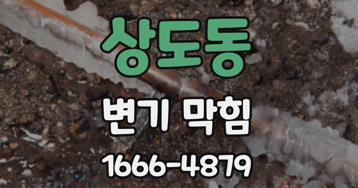 상도동 변기 막힘