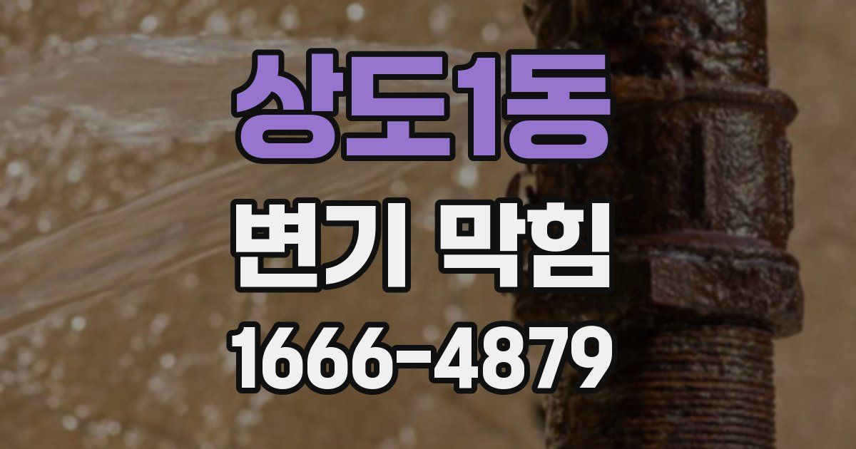 상도1동 변기 막힘
