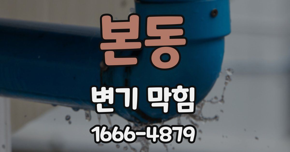 본동 변기 막힘