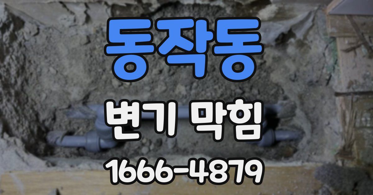 동작동 변기 막힘
