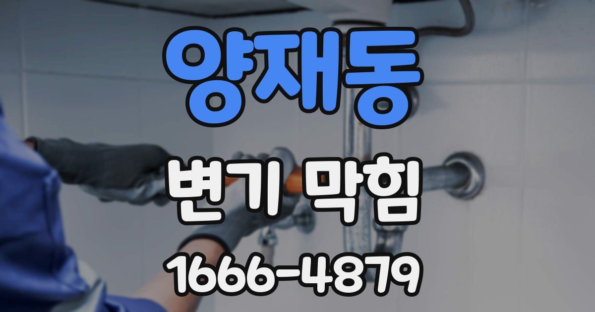 양재동 변기 막힘