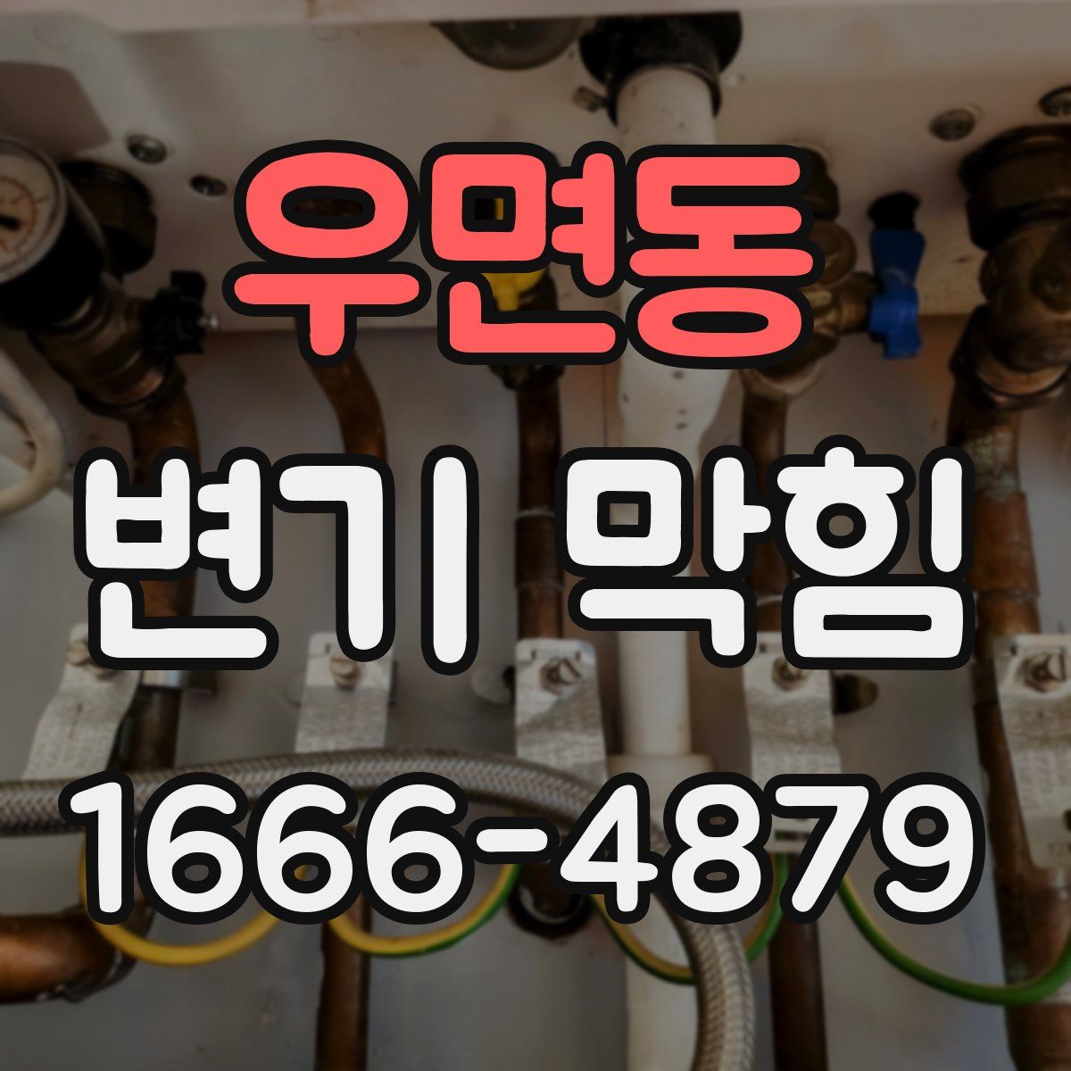 우면동 변기 막힘