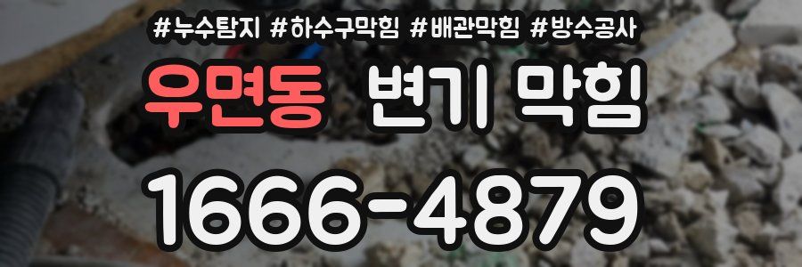 우면동 변기 막힘