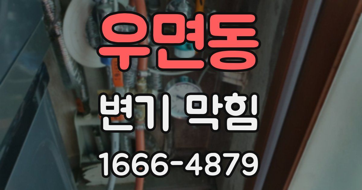 우면동 변기 막힘