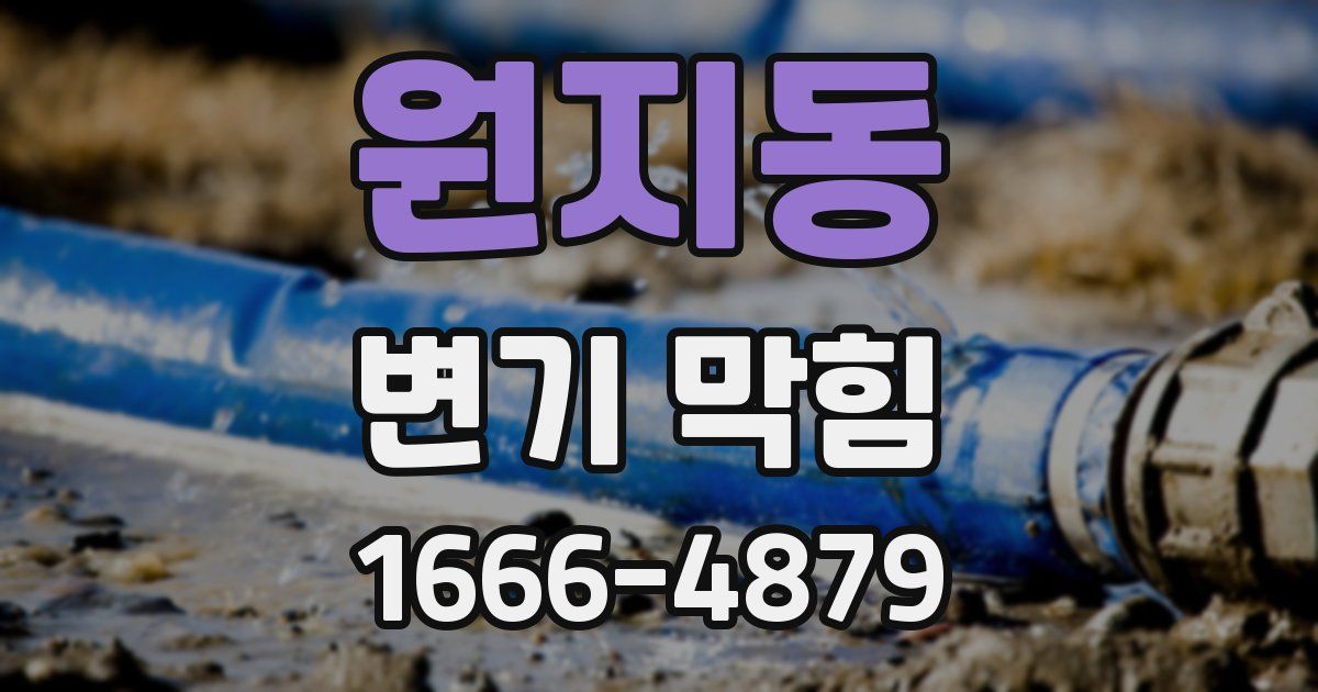 원지동 변기 막힘