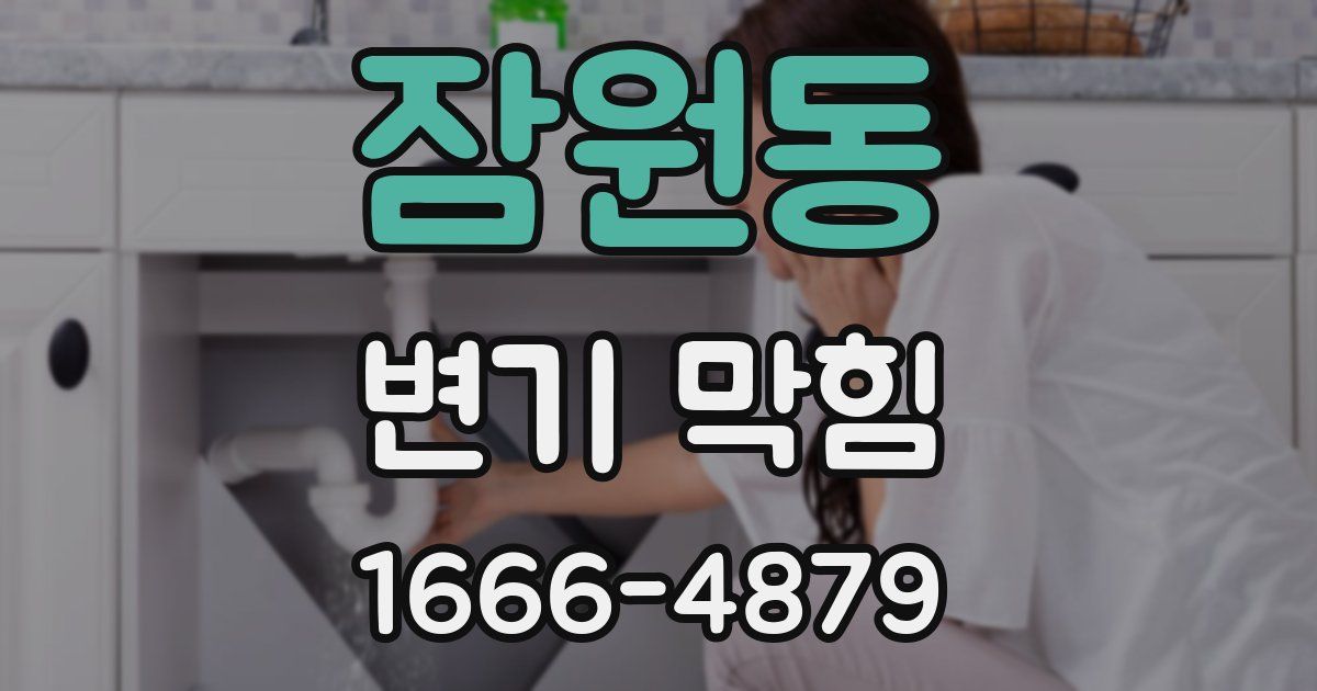 잠원동 변기 막힘