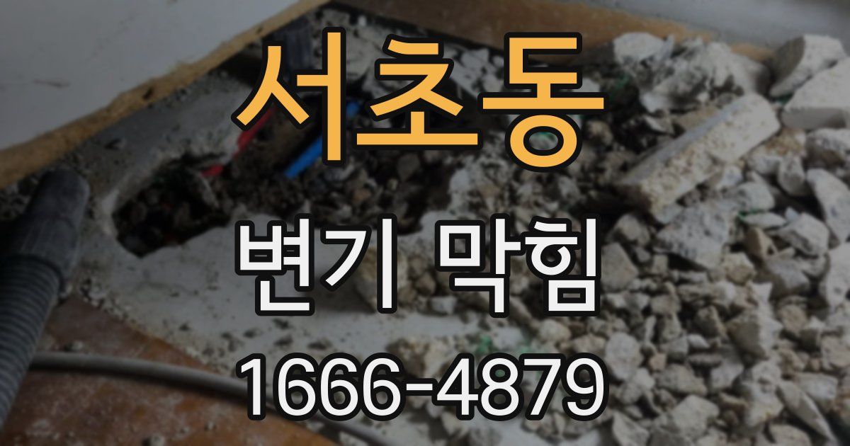 서초동 변기 막힘