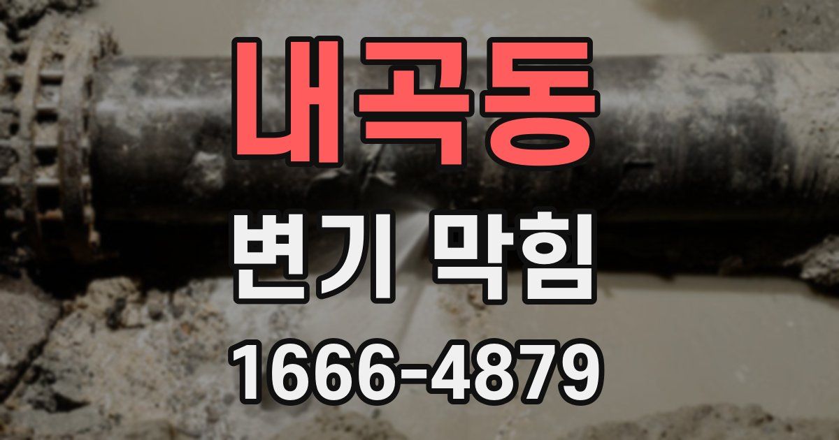내곡동 변기 막힘