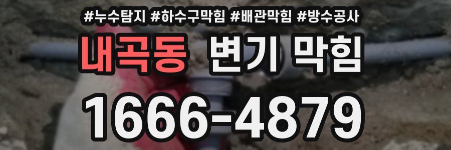 내곡동 변기 막힘