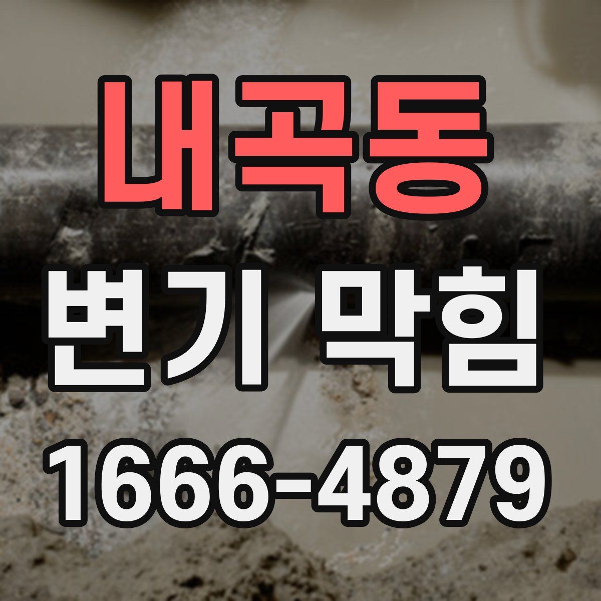 내곡동 변기 막힘