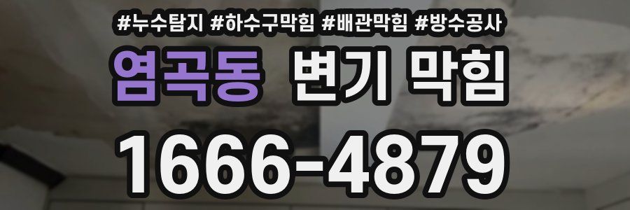 염곡동 변기 막힘