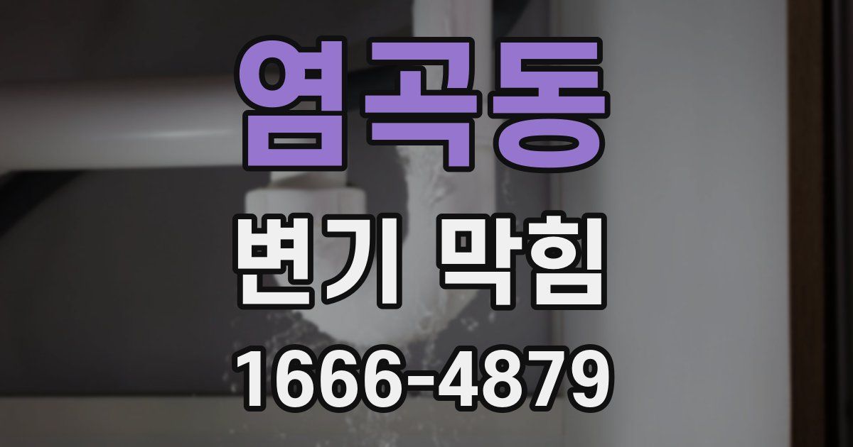 염곡동 변기 막힘
