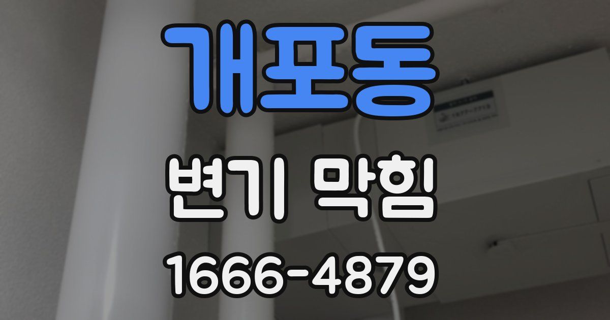 개포동 변기 막힘