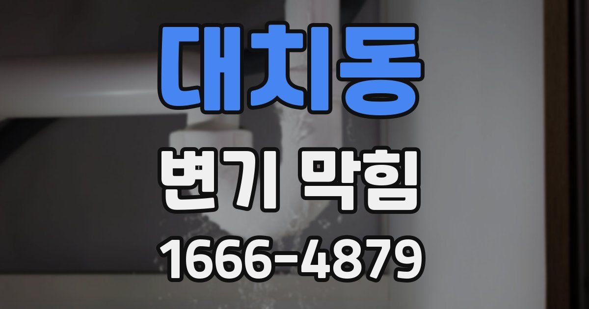 대치동 변기 막힘