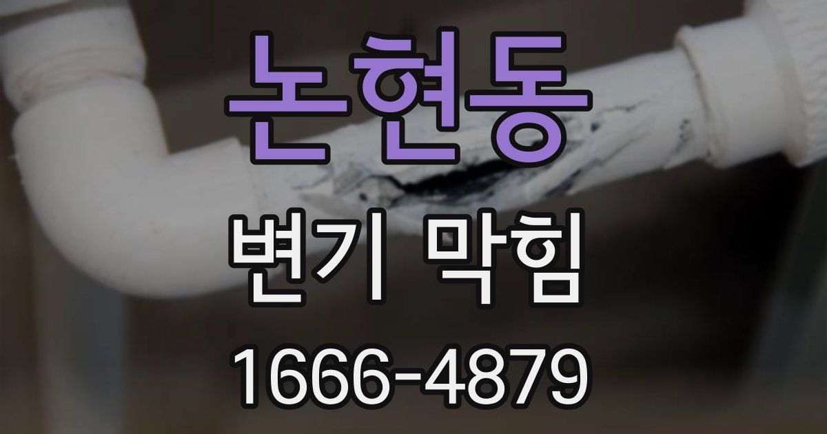 논현동 변기 막힘
