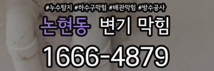 논현동 변기 막힘