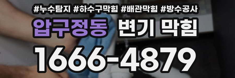 압구정동 변기 막힘