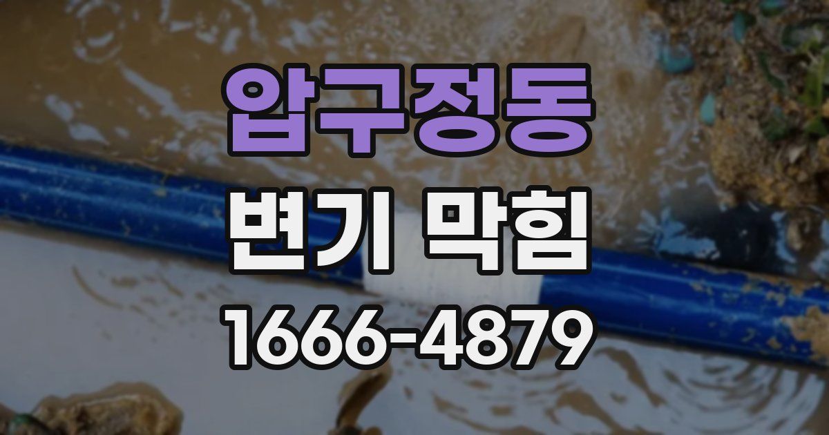 압구정동 변기 막힘