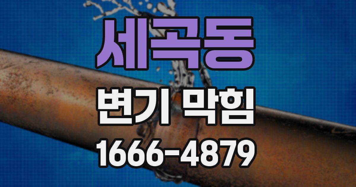 세곡동 변기 막힘