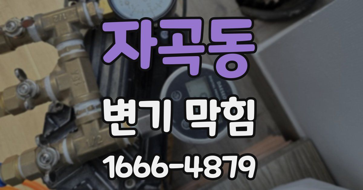 자곡동 변기 막힘