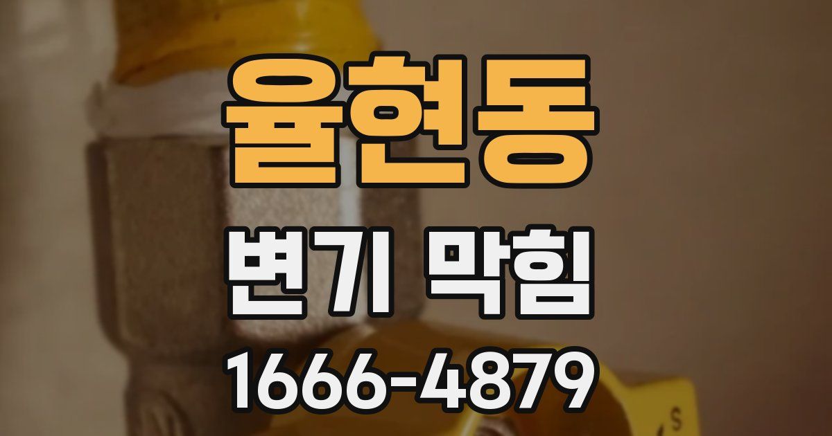율현동 변기 막힘