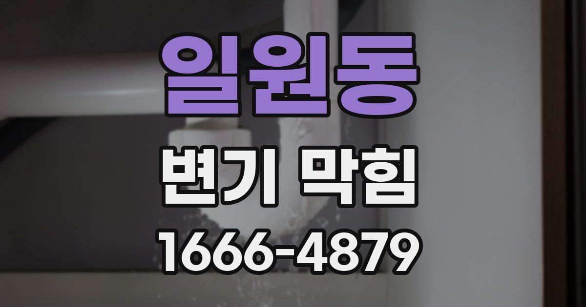 일원동 변기 막힘