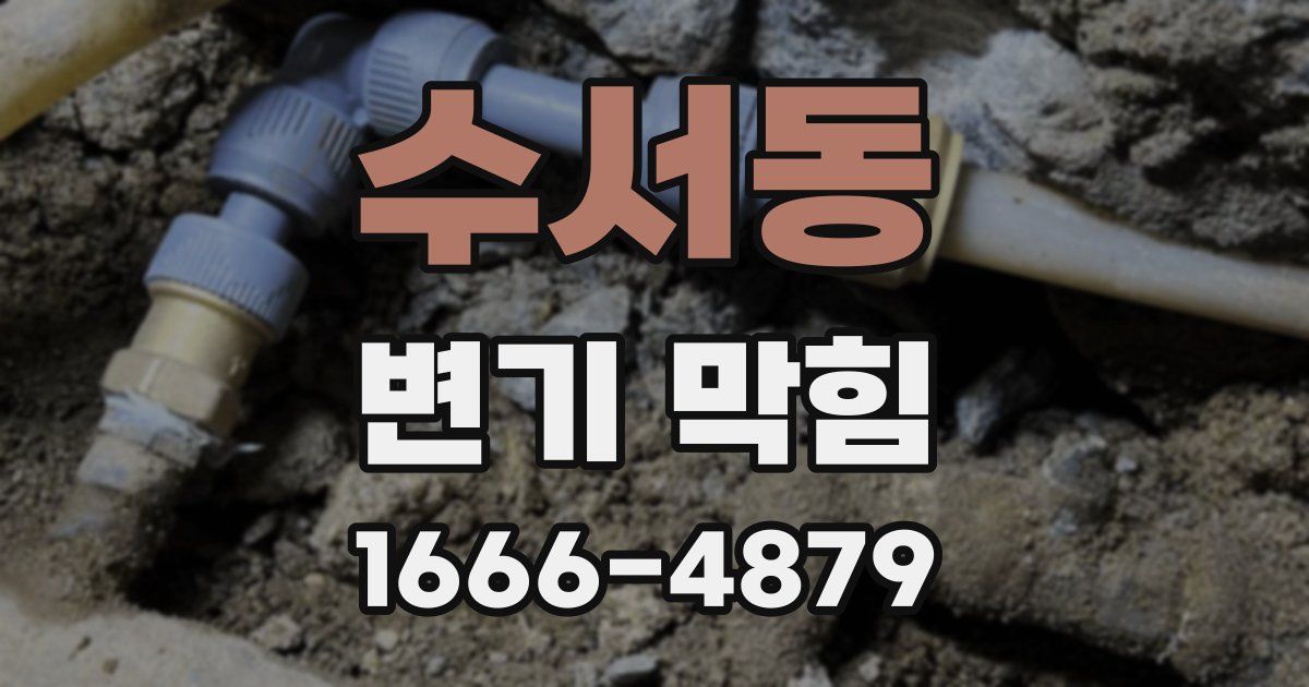 수서동 변기 막힘