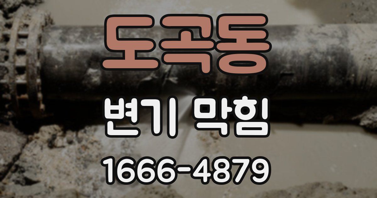 도곡동 변기 막힘
