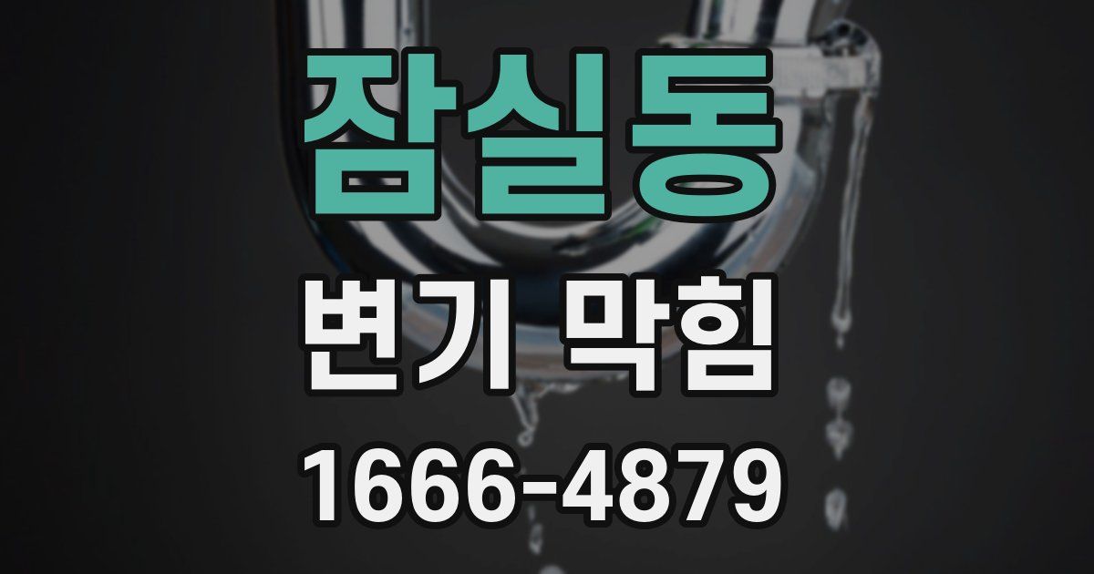 잠실동 변기 막힘