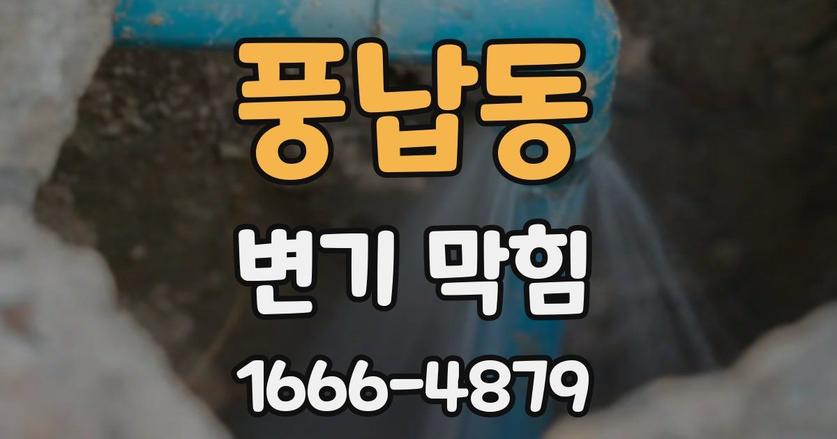 풍납동 변기 막힘