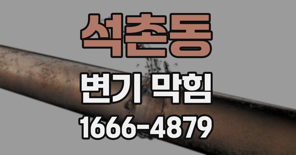 석촌동 변기 막힘
