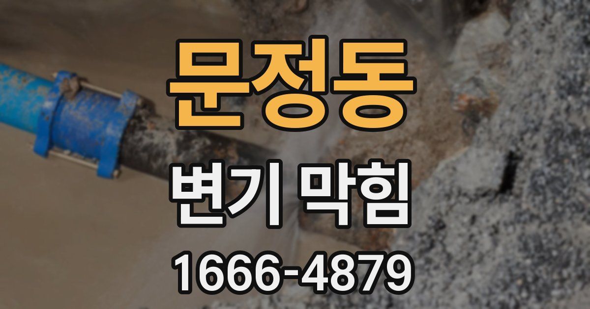 문정동 변기 막힘