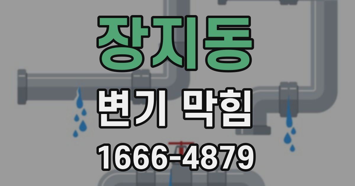 장지동 변기 막힘