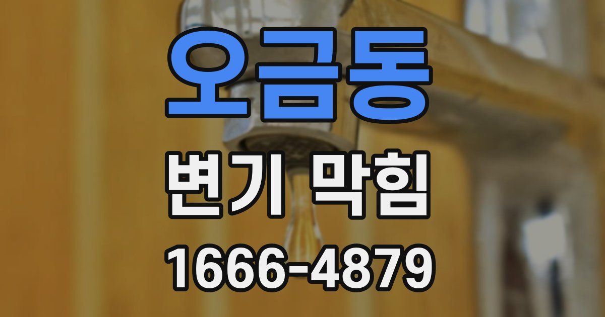 오금동 변기 막힘