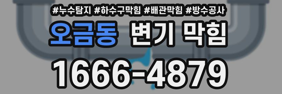 오금동 변기 막힘