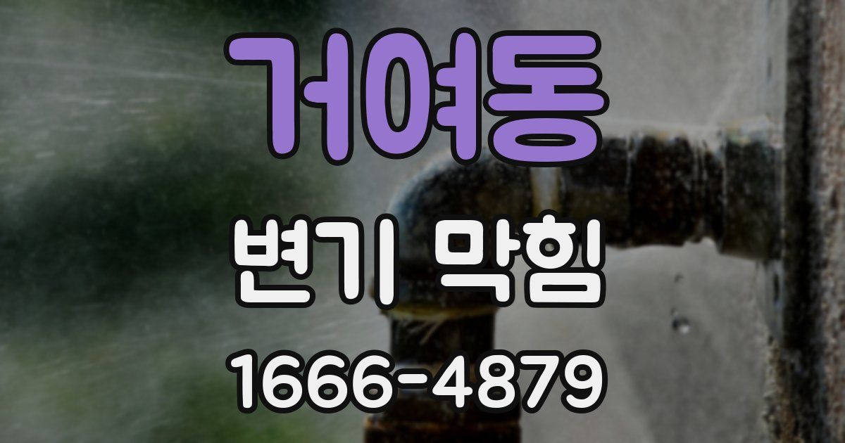 거여동 변기 막힘