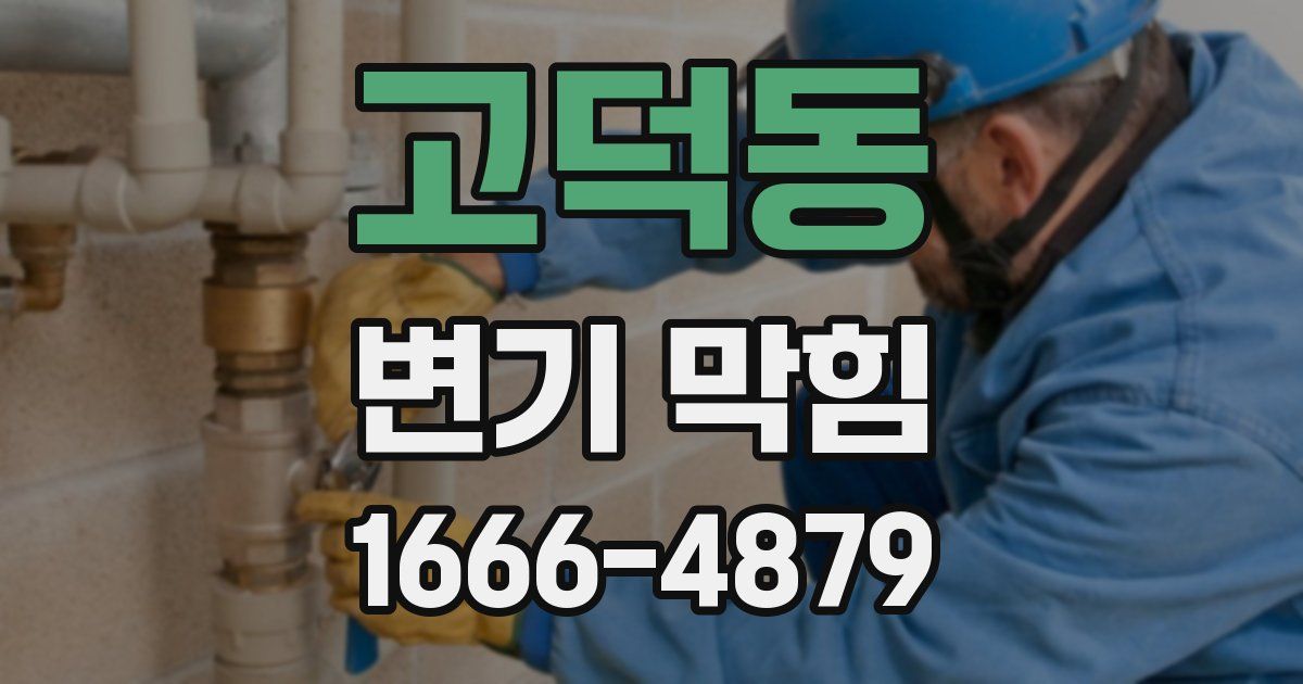 고덕동 변기 막힘