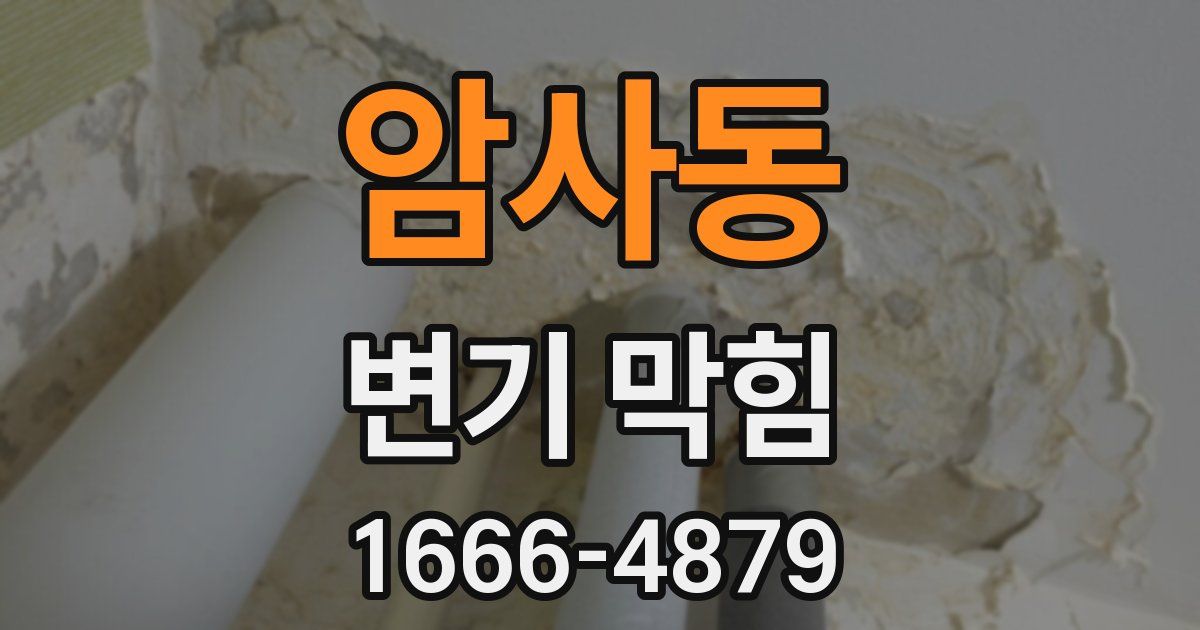 암사동 변기 막힘