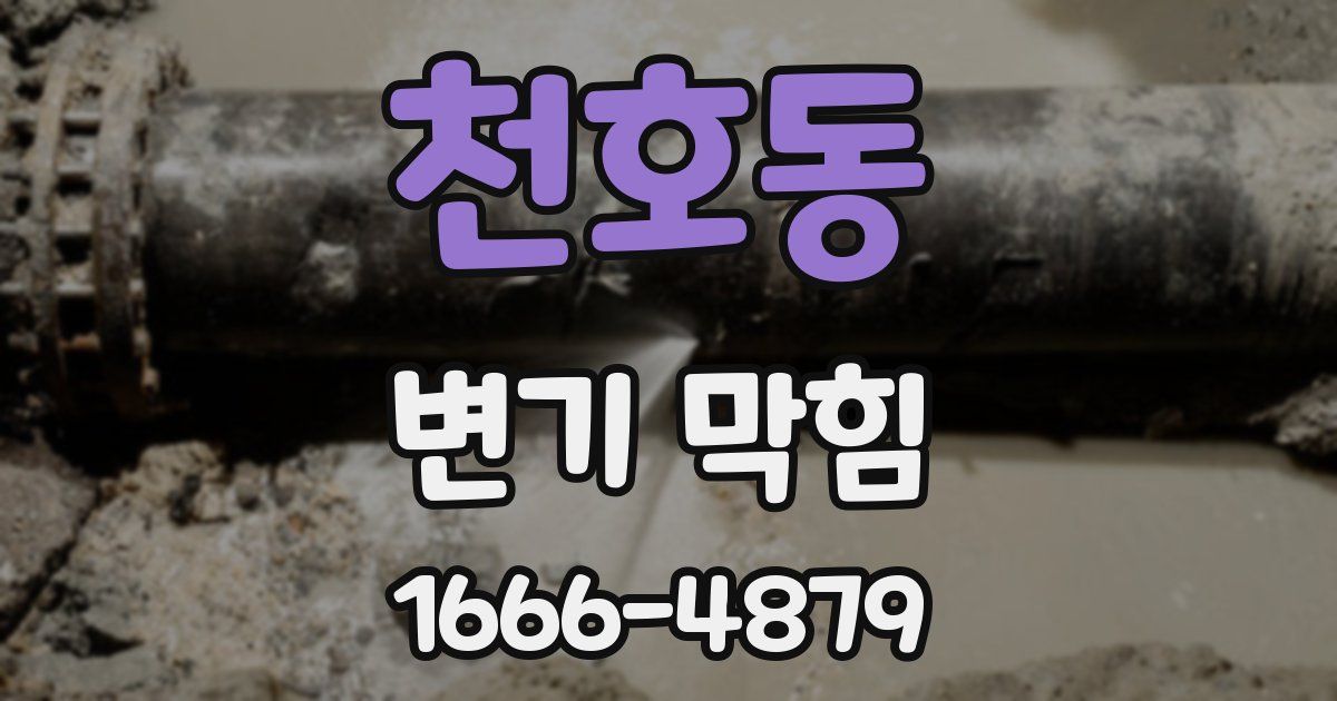 천호동 변기 막힘