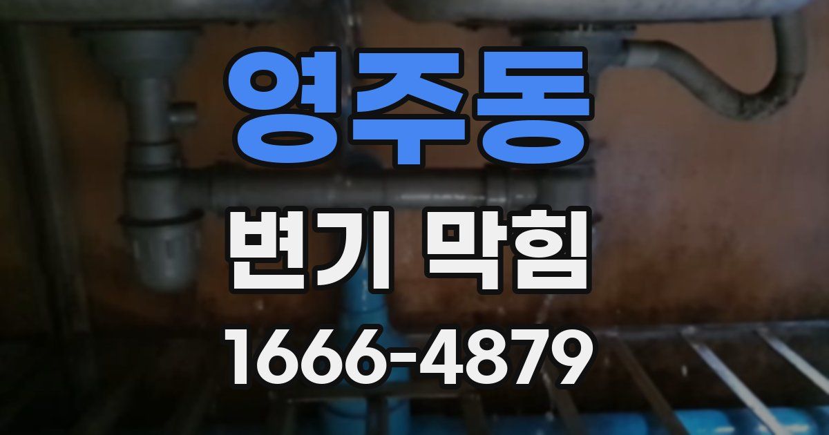 영주동 변기 막힘
