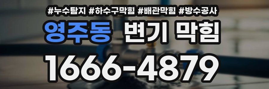 영주동 변기 막힘