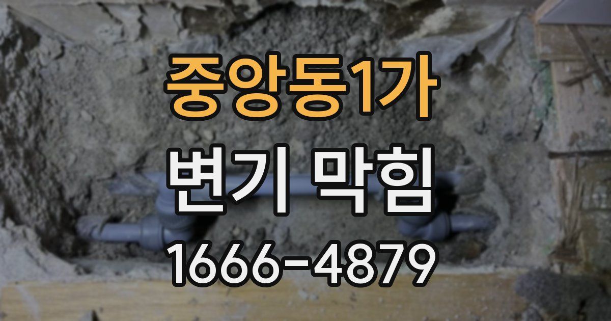 중앙동1가 변기 막힘