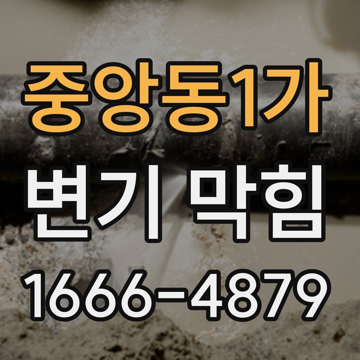 중앙동1가 변기 막힘