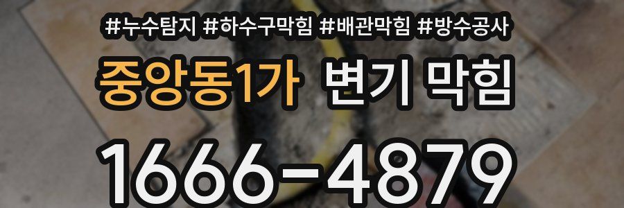 중앙동1가 변기 막힘