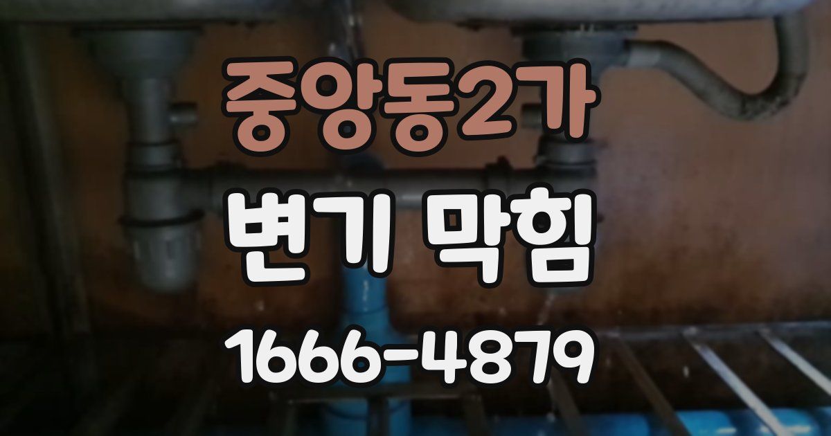 중앙동2가 변기 막힘